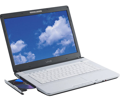 Sony VAIO FE550G